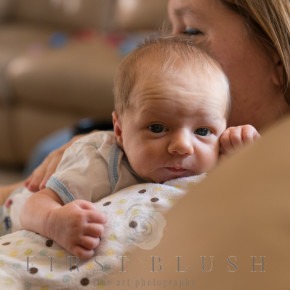 Small newborn boy staring at the camera